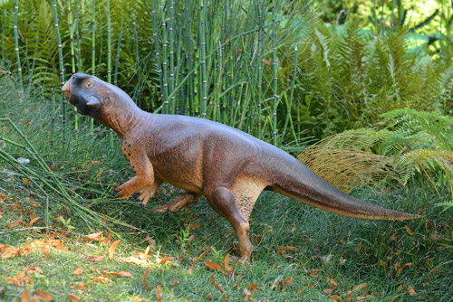 Psittacosaurus credit Jakob Vinther